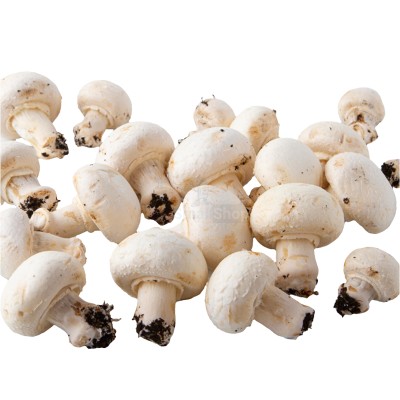 Шампиньоны свежие 500 г - купить в Эсетаре